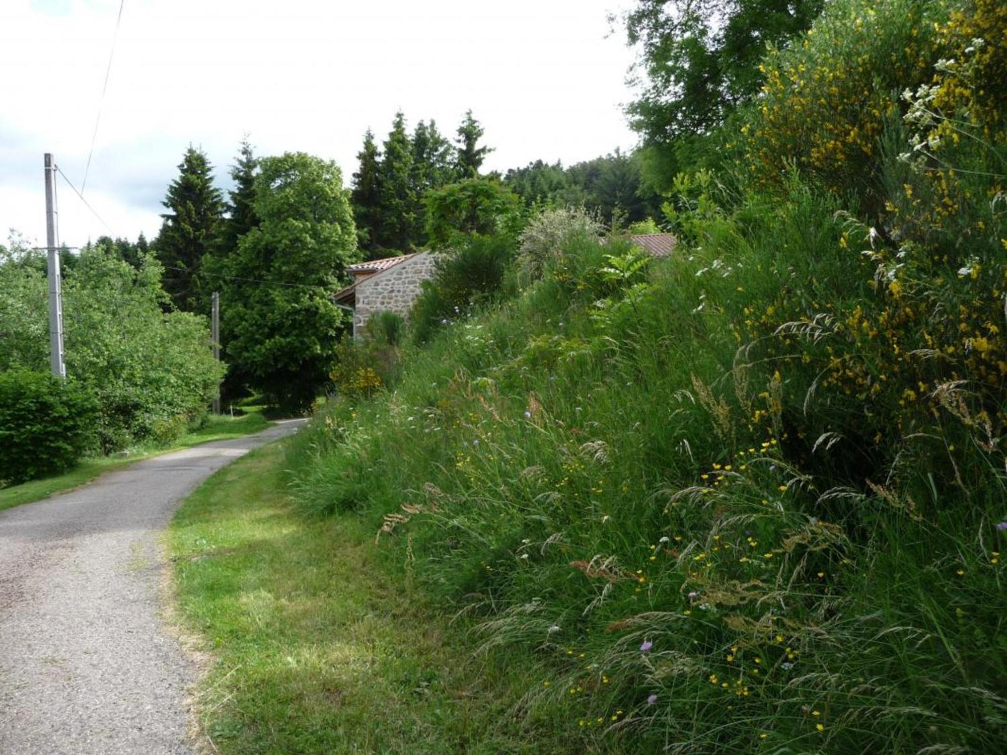 Charmant Gite Avec Terrasse, Cheminee Et Jardin, A Proximite Des Bois, Animaux Acceptes - Fr-1-496-205 Saint-Jean-Soleymieux Dış mekan fotoğraf